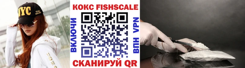 купить наркоту  Ардатов  КОКАИН Fish Scale 