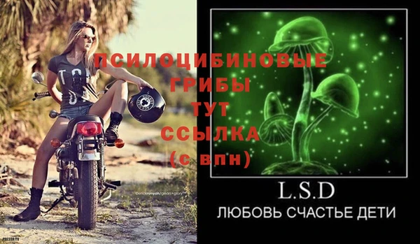 МДПВ Алексеевка