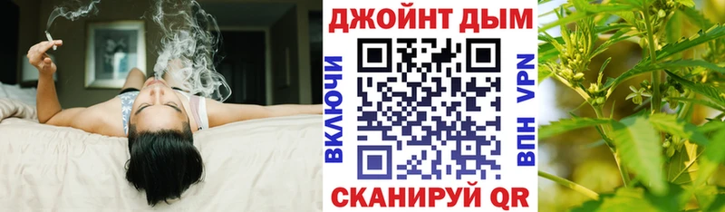 Конопля гибрид Ардатов